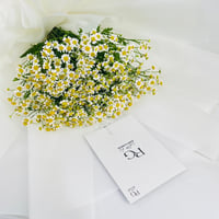 5038 - Image 4