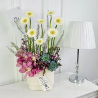 16656 - Image 2