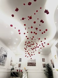 11147-404 - صورة 4