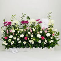 9852-630 - Image 1