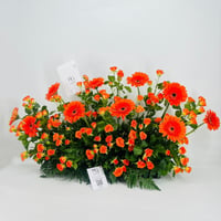 9021 - صورة 2