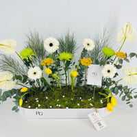 15434 - صورة 4