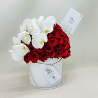 7551-31 - صورة 3