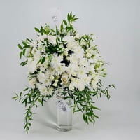2612-155 - صورة 1