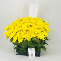 11489-599 - صورة 3