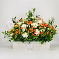 8308-116 - صورة 1