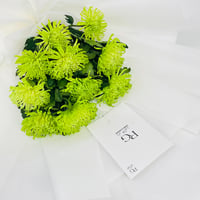 8691 - Image 4