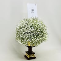 2790 - Image 2