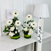 17081 - صورة 1