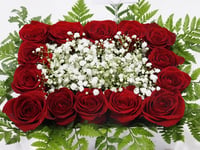 3299 - صورة 3