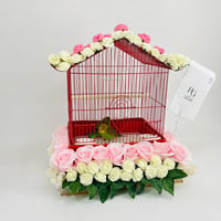 10283 - صورة 2