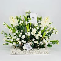 6076-323 - صورة 1