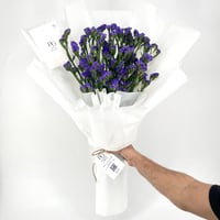 9242 - Image 1