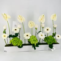 12672-815 - صورة 2
