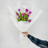 5027 - صورة 1