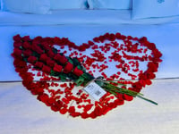 10871-404 - صورة 1