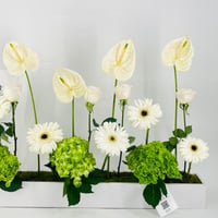12672-815 - صورة 5
