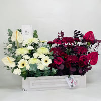 11175 - Image 2