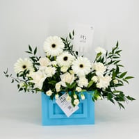 8709-725 - صورة 1