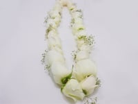 3163 - صورة 3