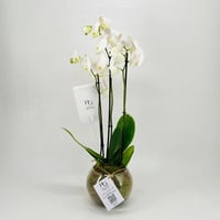 8758N - Image 1