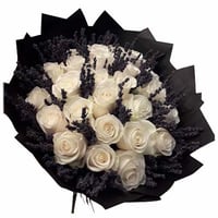 482 - صورة 1
