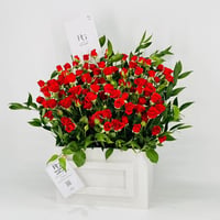 8333-110 - صورة 3