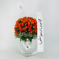 12664 - Image 3