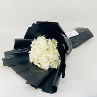 13189 - صورة 3
