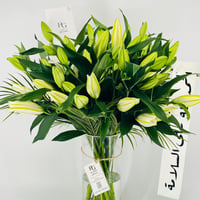 13268 - صورة 4