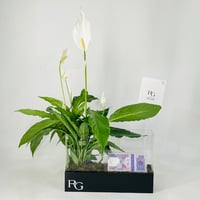 12033 - Image 1