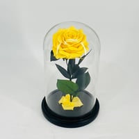 11278 - Image 1