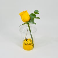 10804-834 - صورة 3