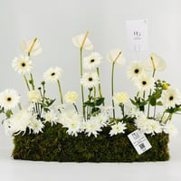 12952 - صورة 4