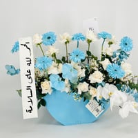 13485 - صورة 3