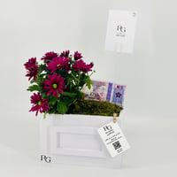 12834 - صورة 3