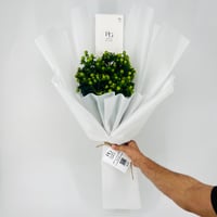 9238 - صورة 1