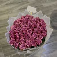 2038 - صورة 1