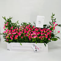 11164-588 - صورة 2