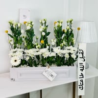 12746 - Image 1
