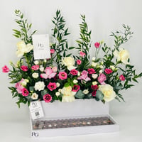 12393-705 - صورة 4