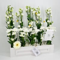  8309-714 - صورة 2