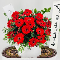 13508 - صورة 5