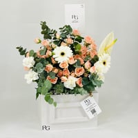 11756 - Image 3