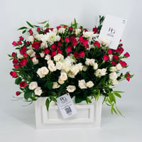 9011-265 - Image 1
