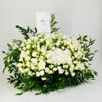 12066-663 - صورة 2
