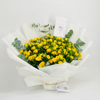 10560-191 - صورة 2