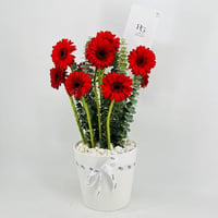 8200-411 - صورة 2