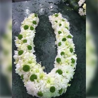 3145 - صورة 1