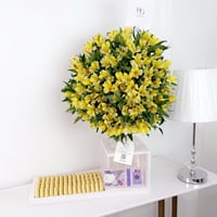 17377 - صورة 1